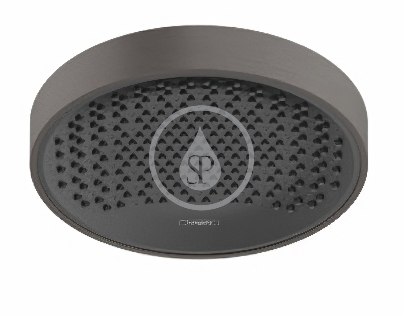 Hlavová sprcha 250, EcoSmart, kefovaný čierny chróm